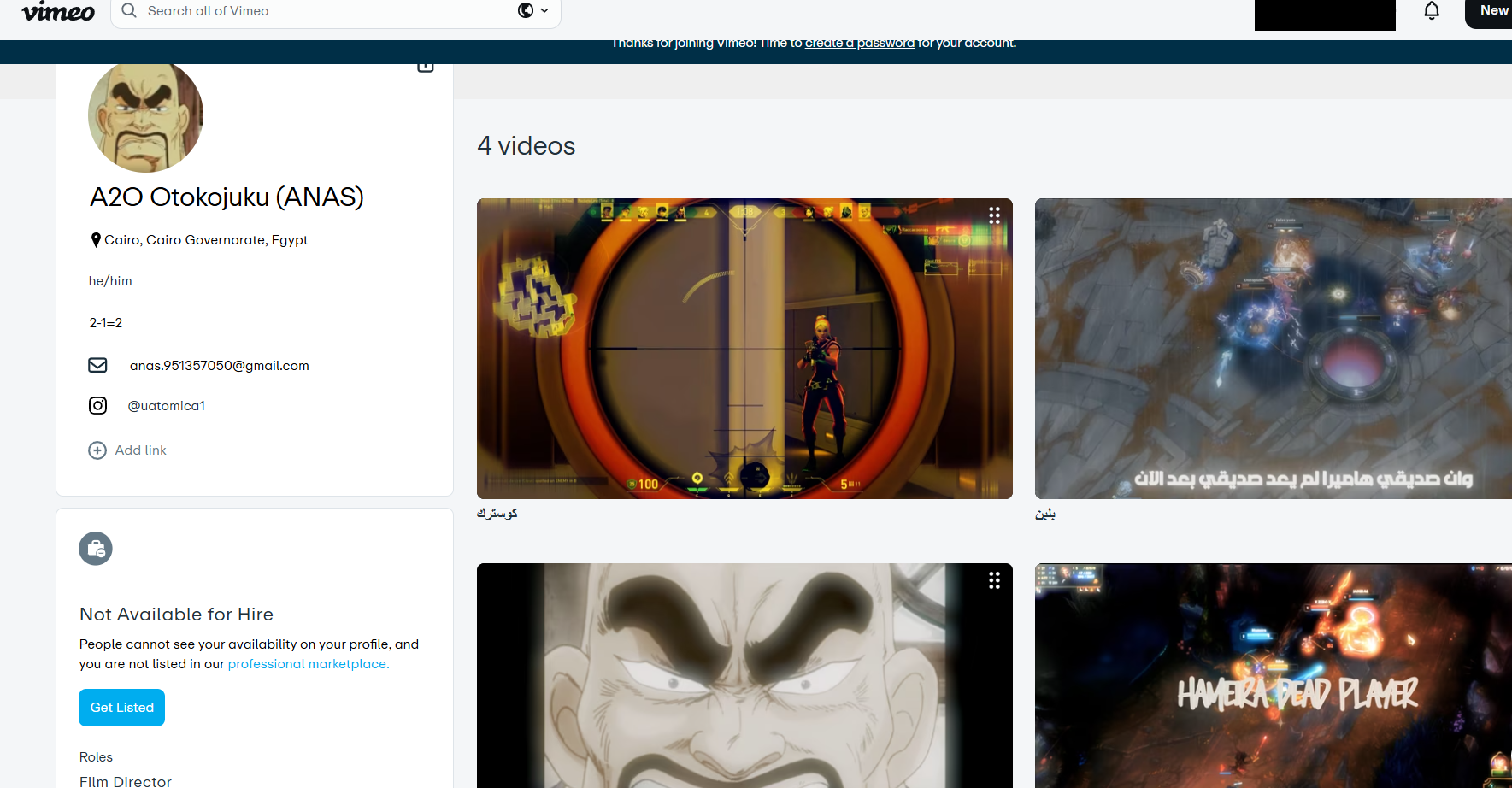 Vimeo Profile